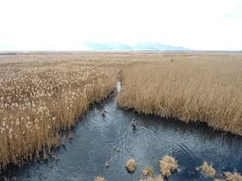 Eber Gölü’Nde Kaçak Avcılar Drone İle Havadan Tespit Edildi
