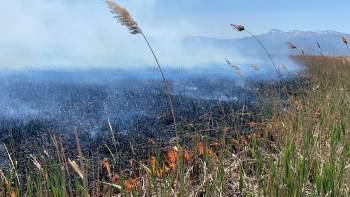 Eber Gölü’Nde Yangın
