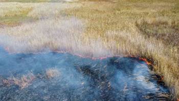 Eber Gölü’Nde Yangın
