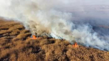 Eber Gölü’Ndeki Sazlık Alanda Yangın
