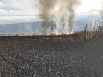 Eber Gölü’Ndeki Sazlıkta Yangın
