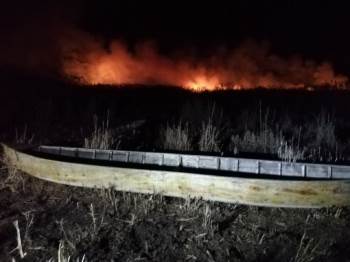 Eber Gölü Yine Alevlere Teslim Oldu
