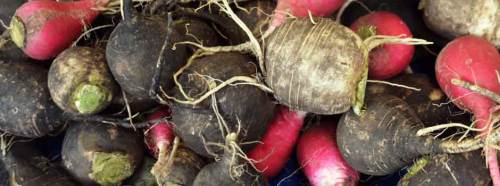 Eğer öksürüğünüz bir türlü kesilmiyorsa...