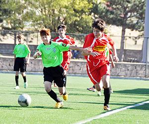 Şeker, DSİyi rahat geçti 7-2