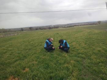 Ekili Alanlara Kontrol
