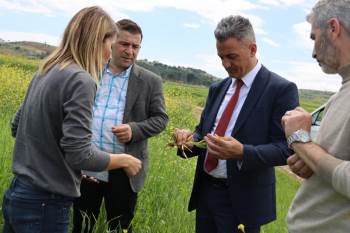Ekim Alanlarında Fenolojik Gözlem Yapıldı
