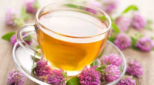 Ekinezya soğuk algınlığının çaresi