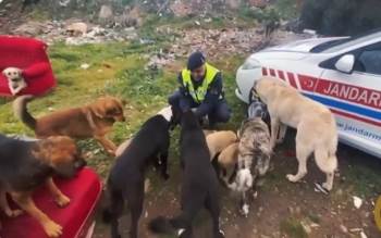 Ekiplerin Yaptığı Çalışma Yürekleri Isıttı
