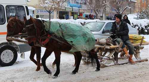 Ekmeğini atlı kızakla kazanıyor