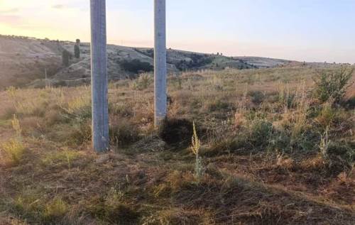 Elektrik akımına kapılan kuş yangına neden oldu