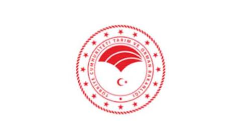 Elektrik hattı hizmeti alımı