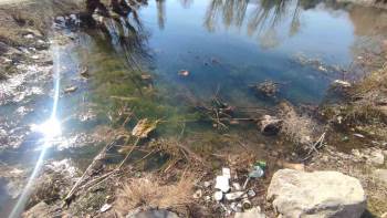 Elektrik Parasını Zimmetine Geçiren Muhtarın Yaptığı Akıllara Durgunluk Verdi
