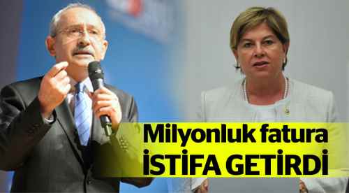 Elif Doğan Türkmen Divan üyeliğinden istifa etti