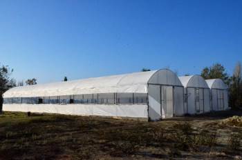 Emet Belediyesi Kendi Fidan Ve Çiçeğini Üretecek
