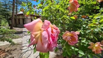 Emet Belediyesi Yatırımlarına Devam Ediyor
