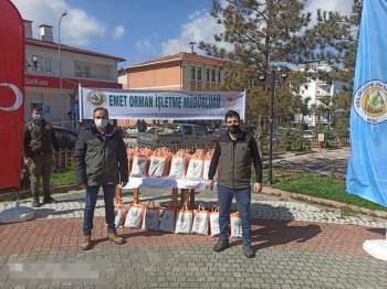 Emet Orman İşletme Müdürlüğü 10 Bin Fidan Dağıttı
