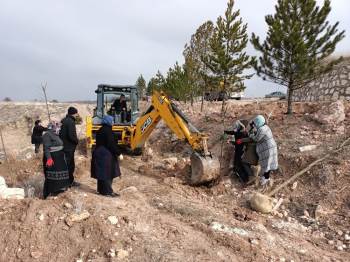 Emet’Te Ağaçlandırma Çalışmaları
