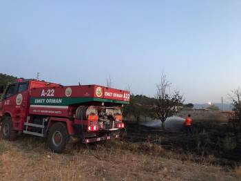 Emet’Te Çıkan Yangında Meyve Ağaçları Zarar Gördü
