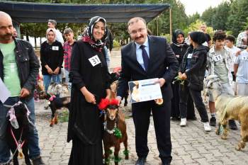 Emet’Te Oğlaklar Podyuma Çıktı
