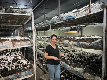 Emetli Girişimci Kadın Kültür Mantarı Üretiyor
