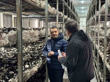 Emirdağ Osb’Deki İşletmeler Faaliyetlerine Devam Ediyor
