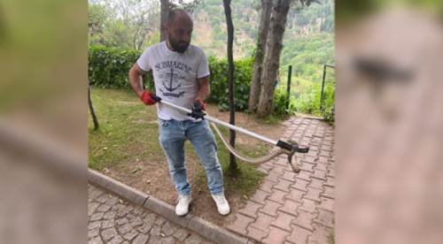 Emzirme odasında engerek yılanı paniği