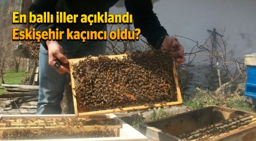 En ballı iller listesinde Eskişehir kaçıncı oldu?