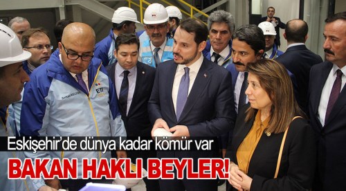 Enerji Bakanı haklı beyler