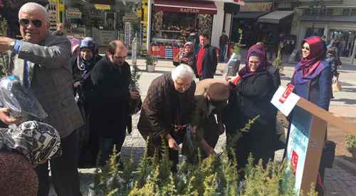 Erbakan hoca için fidan dağıttılar