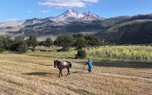 Erciyes’in yamaçlarında atıyla tarım yapan Günek’in hikayesi