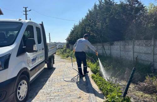 Erenler Belediyesi harekete geçti: Sokaklar ilaçlanıyor