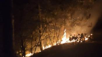 Erken Müdahale Muhtemel Bir Felaketi Önledi
