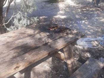 Ertuğrul Gazi Türbesi Yerleşkesindeki Ağaçlık Alanda Bank Yangını
