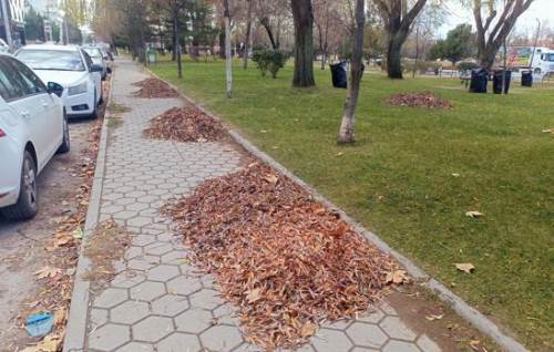 Ertuğrulgazi Mahallesi’nde sonbahar temizliği başladı