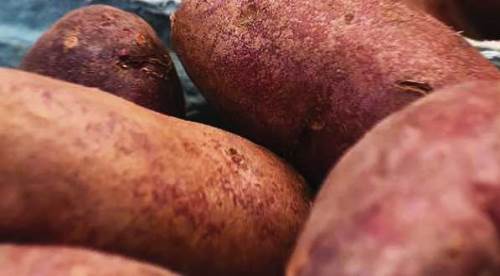 Erzurum, Eskişehir sayesinde bu sebzeyi ilk defa denedi!