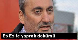 Es Este yaprak dökümü