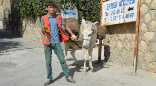Eşek kadrolu, üniversite mezunu sözleşmeli...
