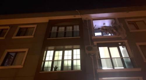 Eski sevgilisini yeni sevgilisine öldürerek intikam aldı!