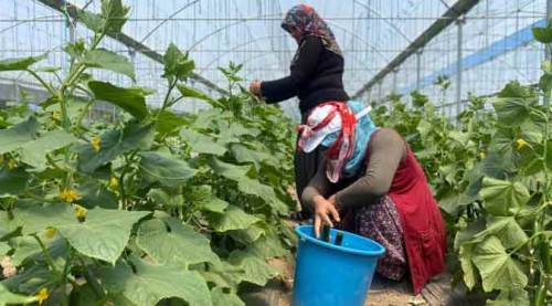 Eskişehir, bu yöntem sayesinde tam 30 yıldır...