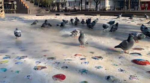 Eskişehir "donmaya" devam ediyor