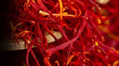 Eskişehir, Türkiye’de öncü olmaya hazırlanıyor: Yeni proje yolda