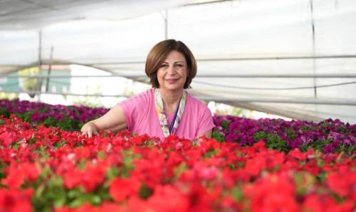 Eskişehir 700 bin çiçekle renklenecek