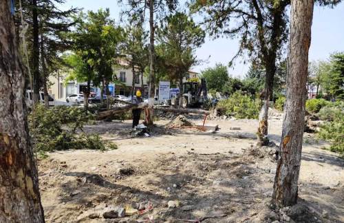 Eskişehir AK Parti’den CHP’li belediyelere ağaç tepkisi