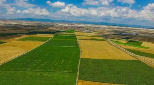 Eskişehir Alpu'dan yükselen çığlık: Arazimize dokunma!