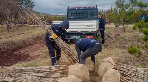 Eskişehir artık bu alanda marka: İzmir'e hibe...