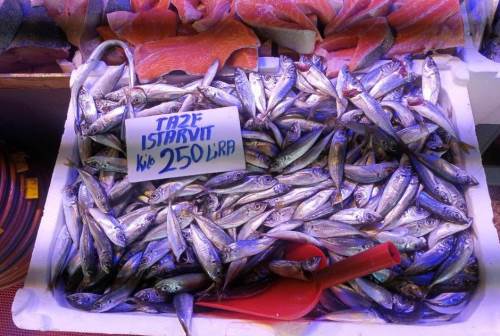 Eskişehir Balıkçılar Pazarı’nda uygun fiyatlı istavrit ilgi görüyor