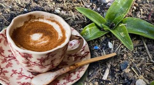 Eskişehir bir üretimde daha lider olabilir: İşte önemli açıklama