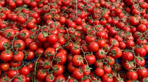 Eskişehir bu yöntemle Türkiye'ye örnek olmalı!