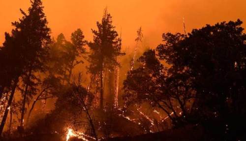 Eskişehir büyük orman yangınına hazır değil!