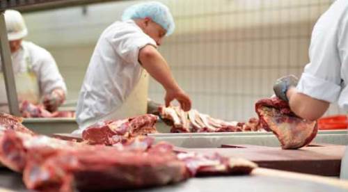 Eskişehir Büyükşehir "modern mezbaha" için harekete geçti!